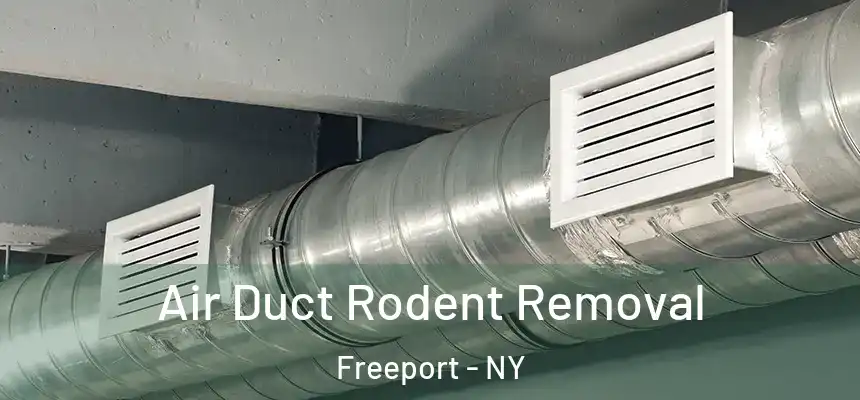  Air Duct Rodent Removal Freeport - NY