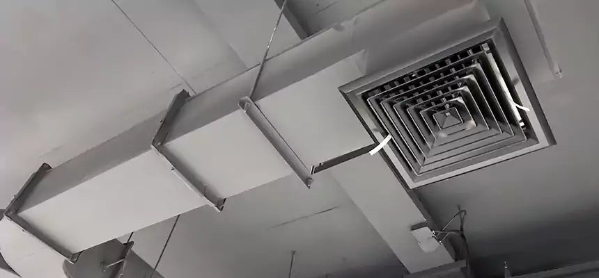 Restorative Allergy Relief Vent Cleaning – Coil, Blower & Housing Detail in Freeport