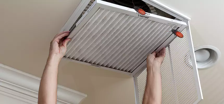 Our Insect Removal from Air Ducts Services in Freeport, NY