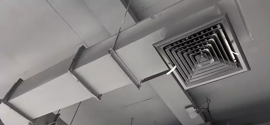 Our Pest Removal From Ducts Services in Freeport, NY