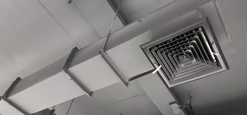 Our Rodent Droppings In Vents Services in Freeport, NY