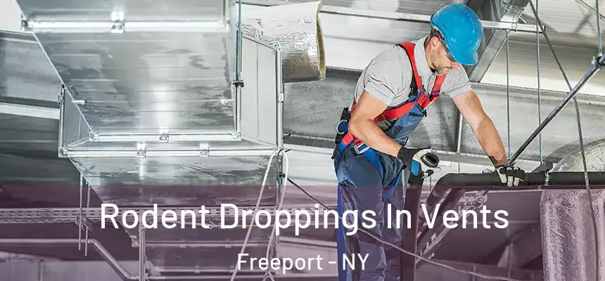  Rodent Droppings In Vents Freeport - NY