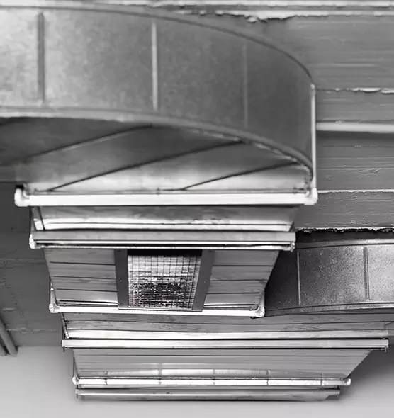 Professional Air Duct Pest Removal in Freeport, NY