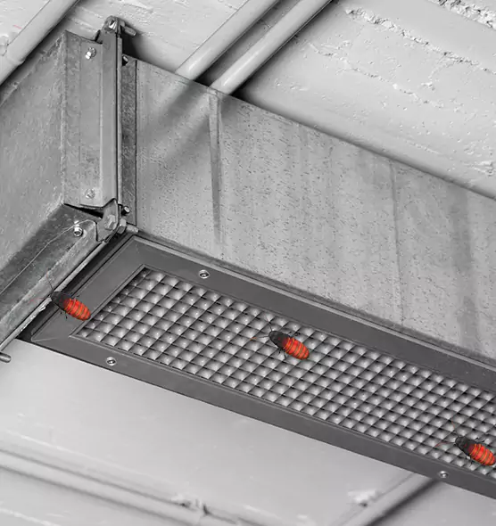 Affordable Insect Removal from Air Ducts in Freeport, NY