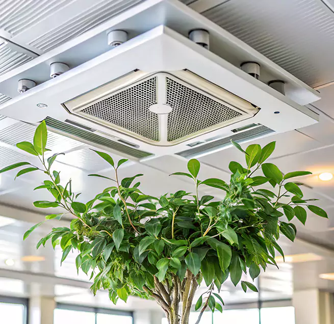 Why Homeowners & Businesses Trust Us in Freeport, NY?